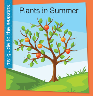 Plants in Summer
