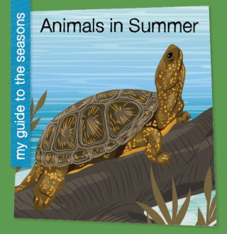 Animals in Summer