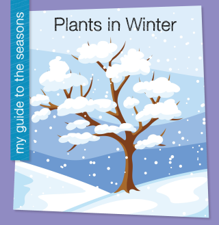Plants in Winter