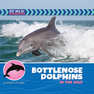 Imagen de apoyo de  Bottlenose Dolphins in the Wild