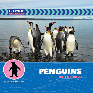 Penguins in the Wild