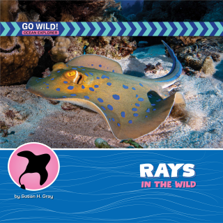 Imagen de apoyo de  Rays in the Wild