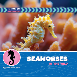 Imagen de apoyo de  Seahorses in the Wild