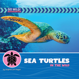 Imagen de apoyo de  Sea Turtles in the Wild