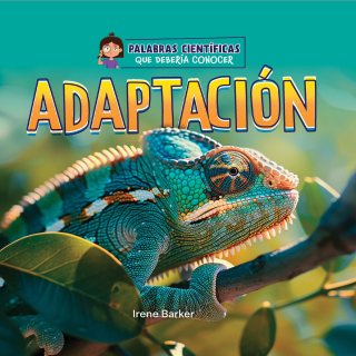 Imagen de apoyo de  Adaptación