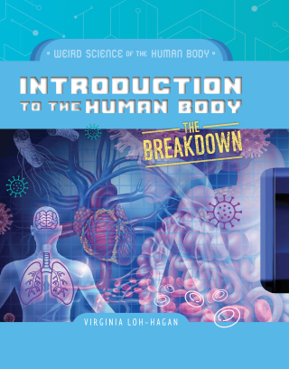 Introduction to the Human Body