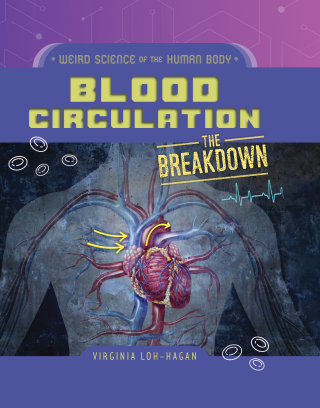 Blood Circulation