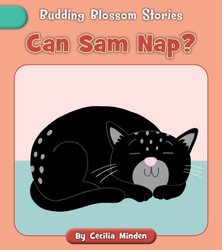 Imagen de apoyo de  Can Sam Nap?