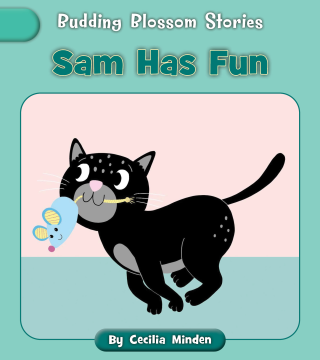Imagen de apoyo de  Sam Has Fun