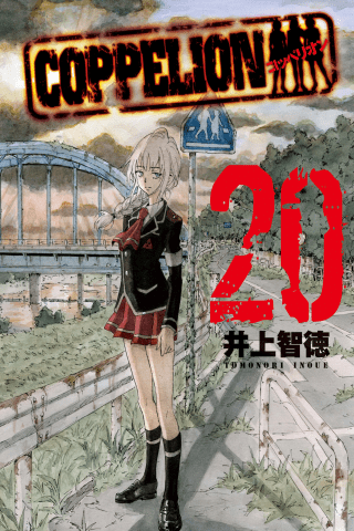 Imagen de apoyo de  COPPELION 20
