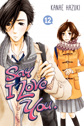 Imagen de apoyo de Say I Love You 12