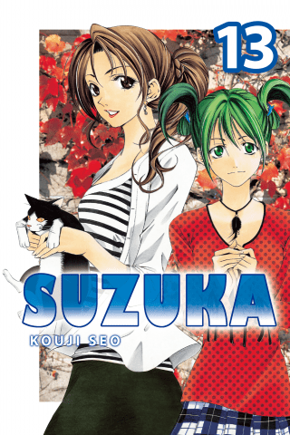 Imagen de apoyo de  Suzuka 13