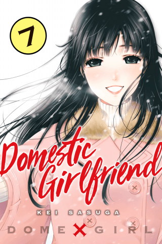 Imagen de apoyo de  Domestic Girlfriend 7
