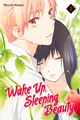 Imagen de apoyo de  Wake Up, Sleeping Beauty 1