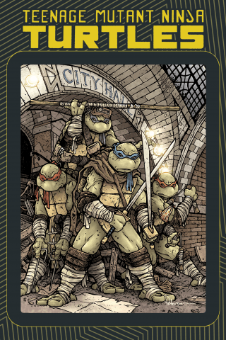 Imagen de apoyo de Teenage Mutant Ninja Turtles: Macro Series