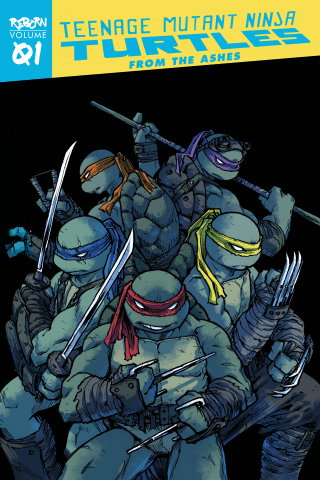 Imagen de apoyo de  Teenage Mutant Ninja Turtles: Reborn, Vol 1  From The Ashes