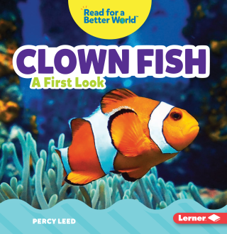 Imagen de apoyo de Clown Fish: A First Look