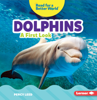 Imagen de apoyo de  Dolphins: A First Look