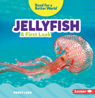 Imagen de apoyo de  Jellyfish: A First Look