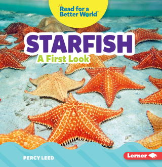 Imagen de apoyo de Starfish: A First Look