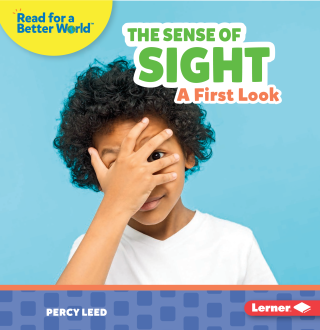 Imagen de apoyo de  The Sense of Sight: A First Look