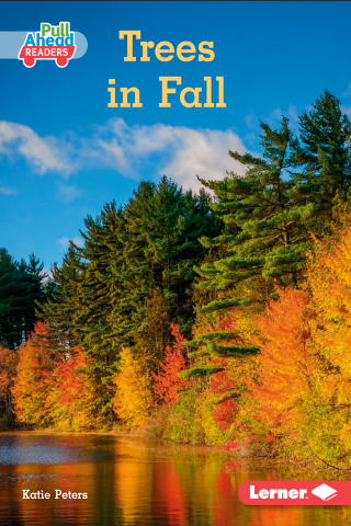 Imagen de apoyo de  Trees in Fall