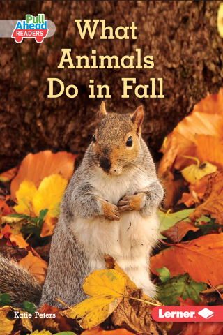 Imagen de apoyo de  What Animals Do in Fall