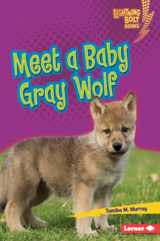 Imagen de apoyo de  Meet a Baby Gray Wolf