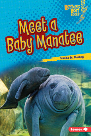 Imagen de apoyo de Meet a Baby Manatee
