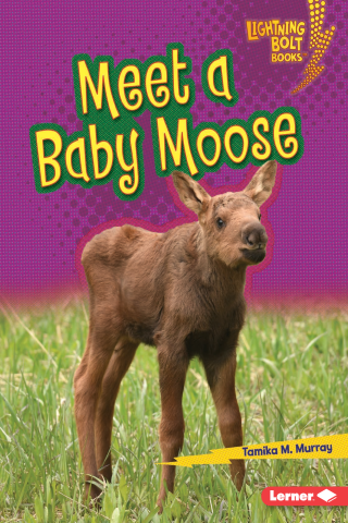 Imagen de apoyo de Meet a Baby Moose