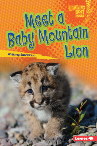 Imagen de apoyo de  Meet a Baby Mountain Lion