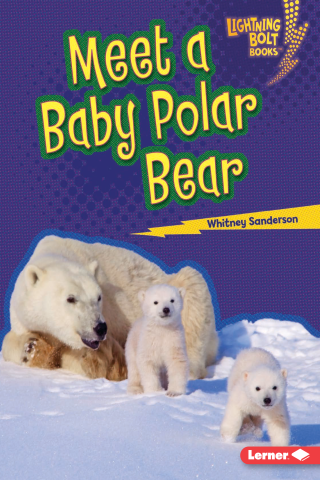 Imagen de apoyo de  Meet a Baby Polar Bear