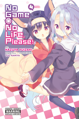 Imagen de apoyo de No Game No Life, Please!, Vol 4