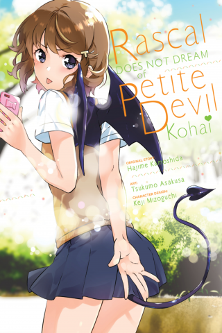 Imagen de apoyo de Rascal Does Not Dream of Petite Devil Kohai (manga)