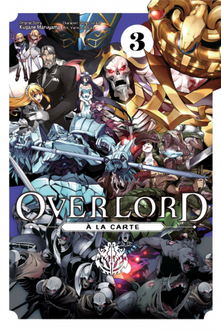 Imagen de apoyo de Overlord la Carte, Vol 3