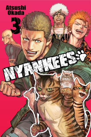 Imagen de apoyo de  Nyankees, Vol 3