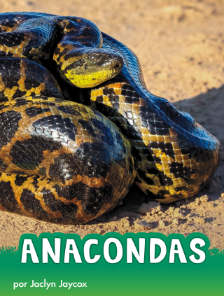 Imagen de apoyo de  Anacondas