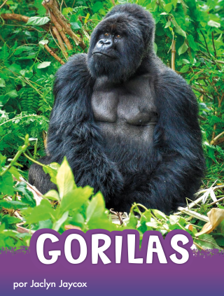 Imagen de apoyo de  Gorilas