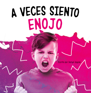 Imagen de apoyo de  A veces siento enojo