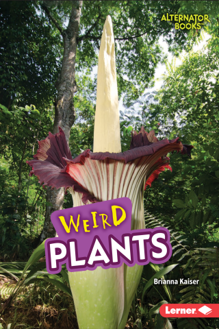 Imagen de apoyo de  Weird Plants