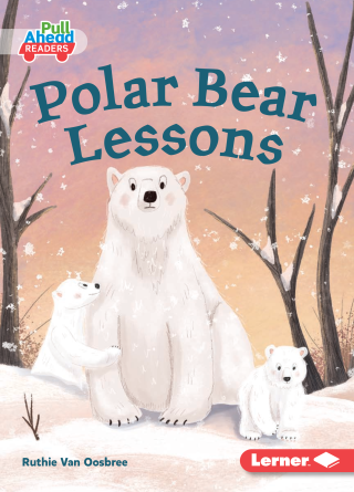 Imagen de apoyo de Polar Bear Lessons