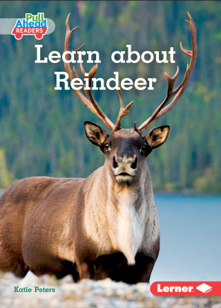 Imagen de apoyo de Learn about Reindeer