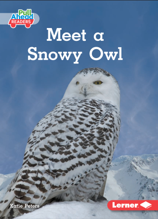 Imagen de apoyo de Meet a Snowy Owl