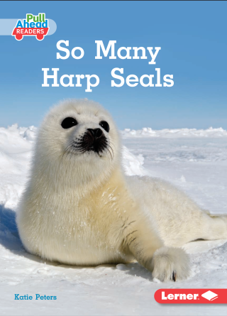 Imagen de apoyo de  So Many Harp Seals