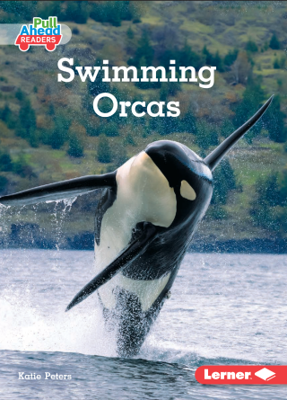 Imagen de apoyo de Swimming Orcas