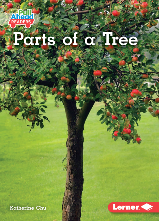 Imagen de apoyo de  Parts of a Tree