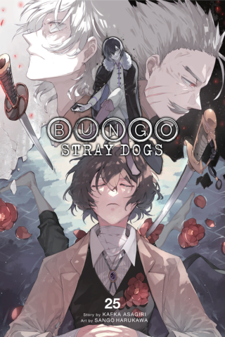 Imagen de apoyo de Bungo Stray Dogs, Vol 25