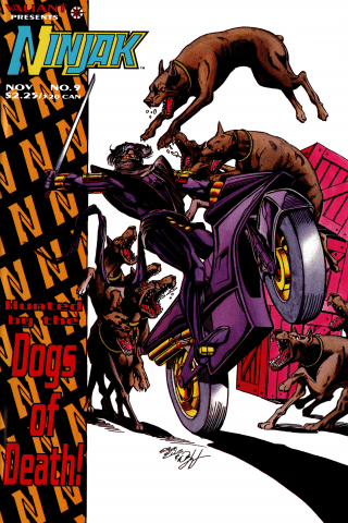 Imagen de apoyo de  Ninjak (1994) #9